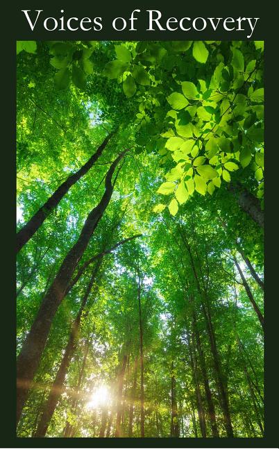 Book cover for Voices of Recovery