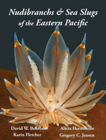Book cover for Nudibranchs & Sea Slugs of the Eastern Pacific