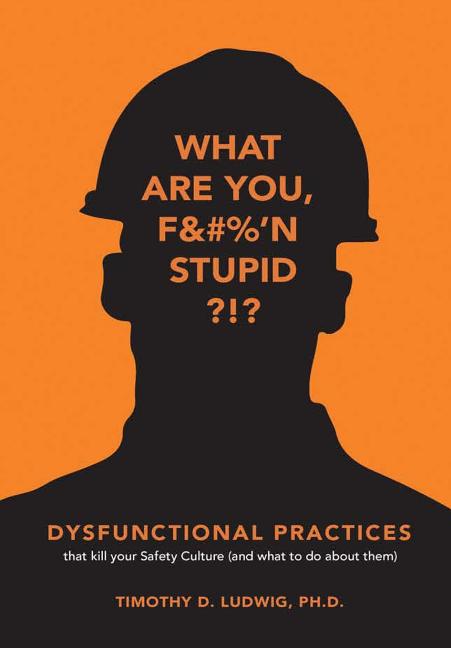 Book cover for Dysfunctional Practices