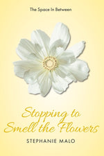 Book cover for Space In Between