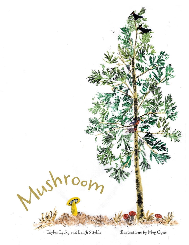 Book cover for Mushroom