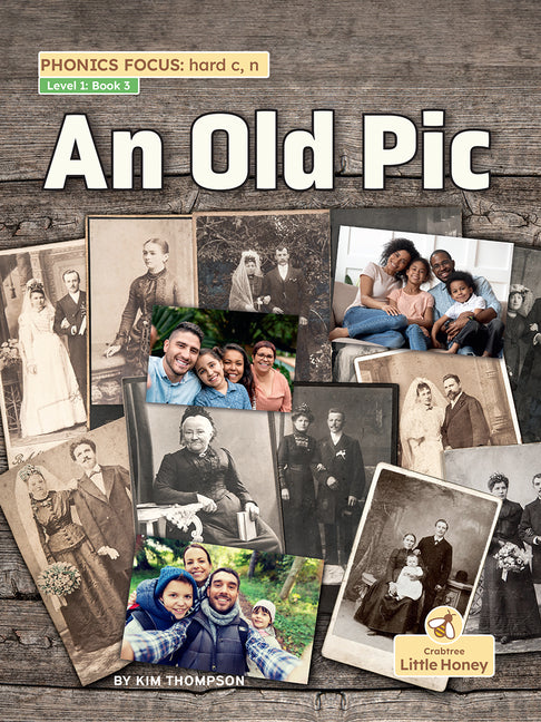 Book cover for Old PIC