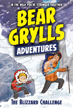 Book cover for Blizzard Challenge