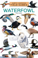 Book cover for Waterfowl