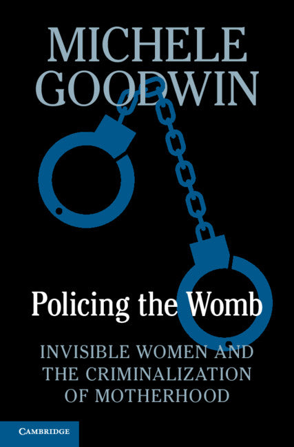 Book cover for Policing the Womb: Invisible Women and the Criminalization of Motherhood