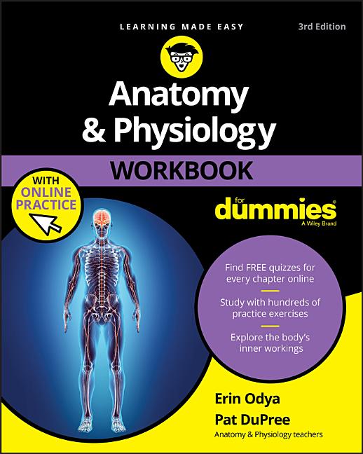 Book cover for Anatomy & Physiology Workbook for Dummies with Online Practice