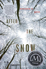 Book cover for After the Snow