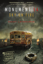 Book cover for Sky on Fire