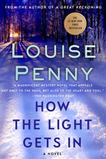 Book cover for How the Light Gets in