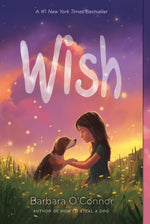 Book cover for Wish