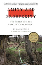 Book cover for Amity and Prosperity: One Family and the Fracturing of America