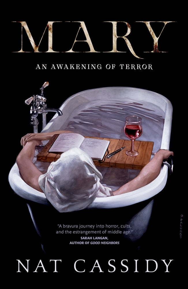 Book cover for Mary: An Awakening of Terror