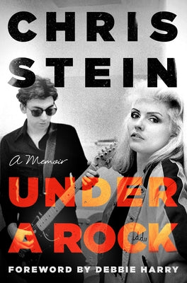 Book cover for Under a Rock