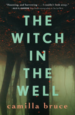 Book cover for The Witch in the Well