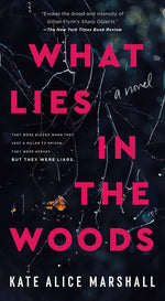 Book cover for What Lies in the Woods
