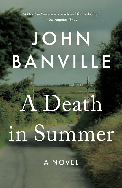 Book cover for Death in Summer