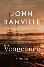 Book cover for Vengeance