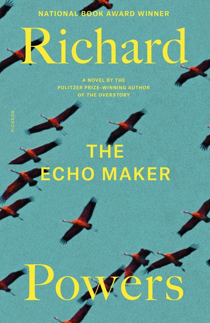 Book cover for The Echo Maker