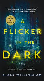 Book cover for A Flicker in the Dark
