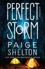Book cover for Perfect Storm: A Mystery