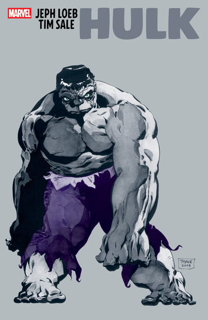 Book cover for Jeph Loeb & Tim Sale: Hulk