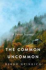 Book cover for Common Uncommon: A Forest Journey