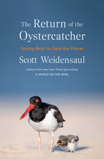 Book cover for Return of the Oystercatcher: Saving Birds to Save the Planet