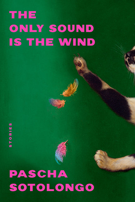 Book cover for Only Sound Is the Wind: Stories