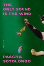Book cover for Only Sound Is the Wind: Stories