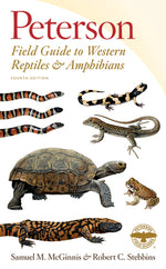 Book cover for Peterson Field Guide to Western Reptiles & Amphibians, Fourth Edition