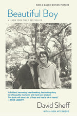 Book cover for Beautiful Boy (Tie-In): A Father's Journey Through His Son's Addiction