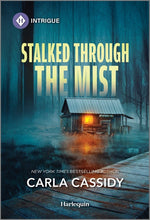 Book cover for Stalked Through the Mist (Original)
