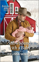 Book cover for Snowbound with a Baby