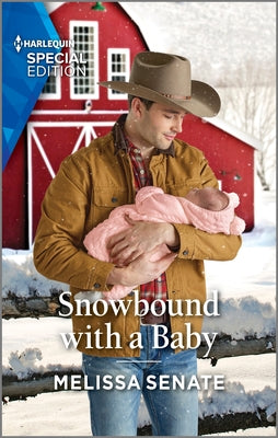 Book cover for Snowbound with a Baby
