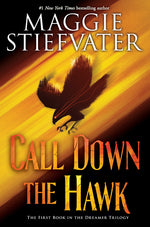 Book cover for Call Down the Hawk (the Dreamer Trilogy, Book 1): Volume 1