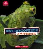 Book cover for Just Discovered Amphibians (Learn About: Animals)
