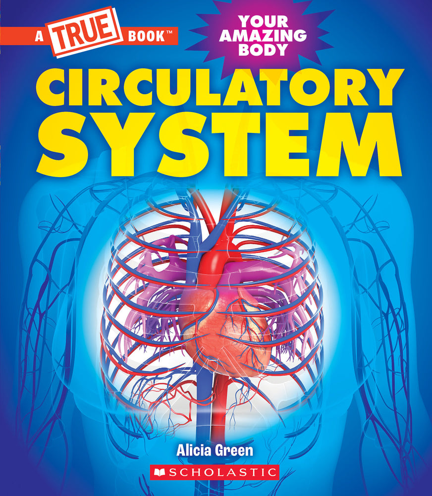 Book cover for Circulatory System (a True Book: Your Amazing Body)