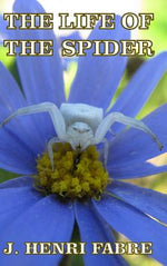 Book cover for The Life of the Spider