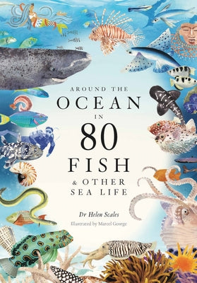 Book cover for Around the Ocean in 80 Fish and Other Sea Life