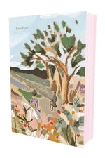 Book cover for Jane Eyre (Painted Editions)