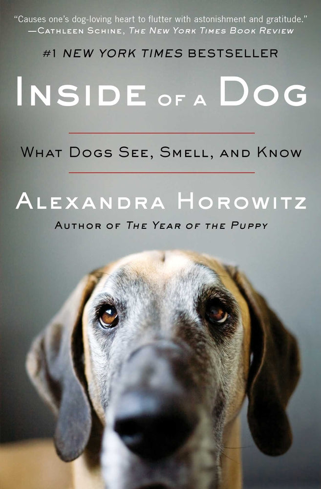 Book cover for Inside of a Dog: What Dogs See, Smell, and Know