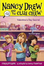 Book cover for Valentine's Day Secret