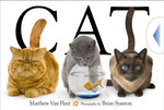 Book cover for Cat