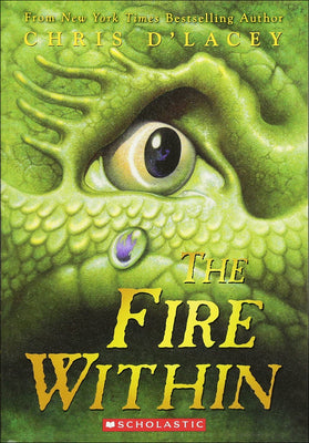 Book cover for The Fire Within