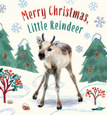 Book cover for Merry Christmas, Little Reindeer