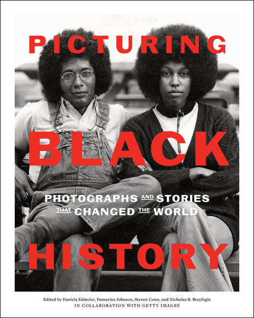 Book cover for Picturing Black History: Photographs and Stories That Changed the World