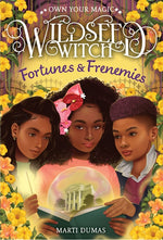 Book cover for Fortunes & Frenemies (Wildseed Witch Book 3)