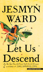 Book cover for Let Us Descend