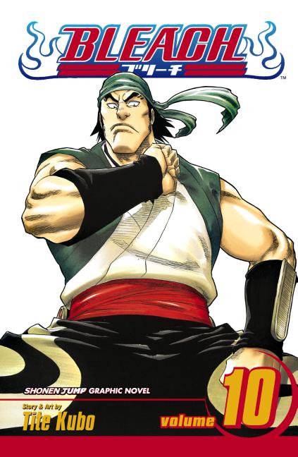 Book cover for Bleach, Vol. 10: Tattoo on the Sky