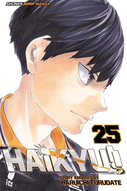 Book cover for Haikyu!!, Vol. 25